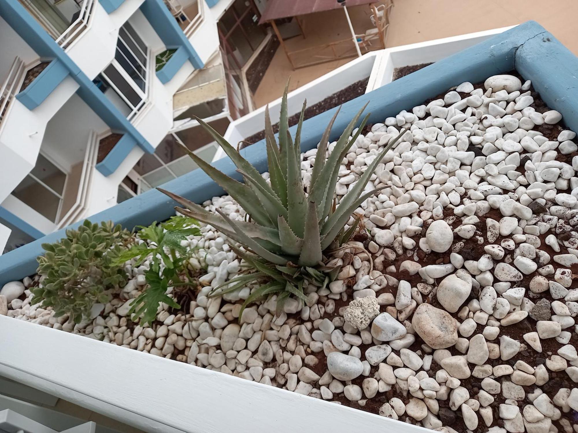 Cousy Holiday Apartment In Sunny Golf Del Sur Σαν Μιγκέλ ντε Αμπόνα Εξωτερικό φωτογραφία